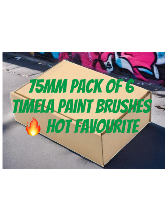 Box of 6 75mm Timela Paint Brushes